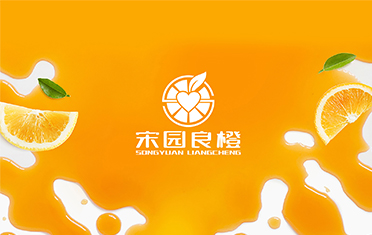 某良橙——黑龙江LOGO设计