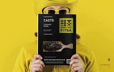 黑龙江绯茶品牌设计